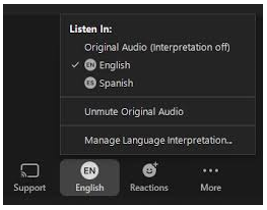 Como usar a Tradução no Zoom 3 image 3